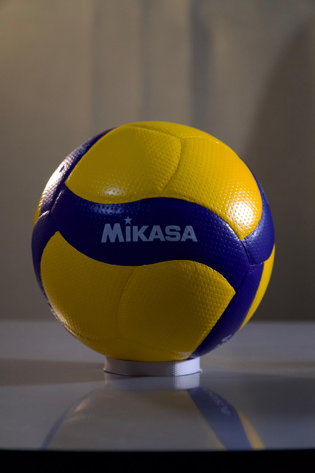 Mikasa VolleyBall