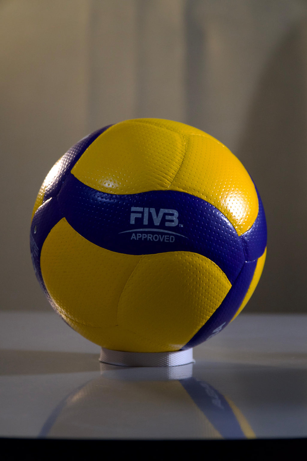 Mikasa VolleyBall